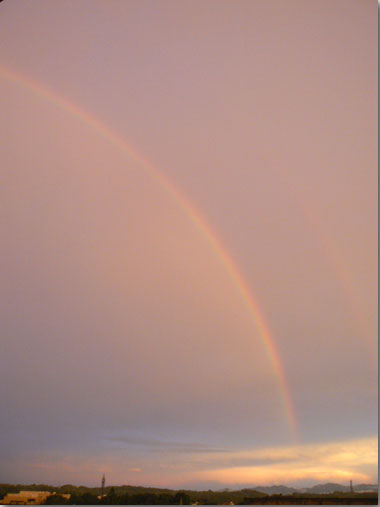 rainbow_20080727.jpg