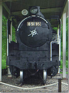 d5195.jpg